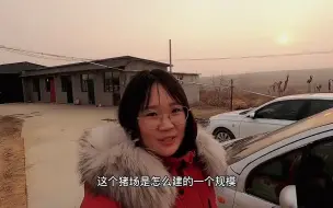 Скачать видео: 河北山区新型养猪场，老板投资了100万，看看成果咋样？