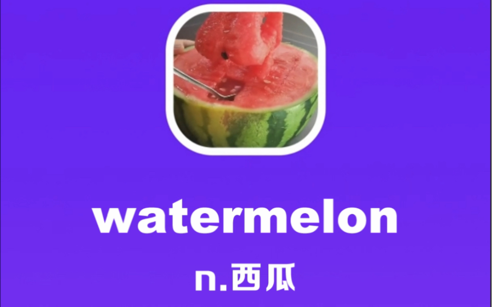 watermelon:西瓜哔哩哔哩bilibili