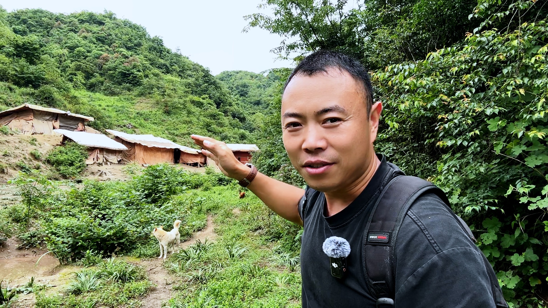 徒步大山发现一养殖场,这环境养跑山鸡,真是绝佳的好地方哔哩哔哩bilibili