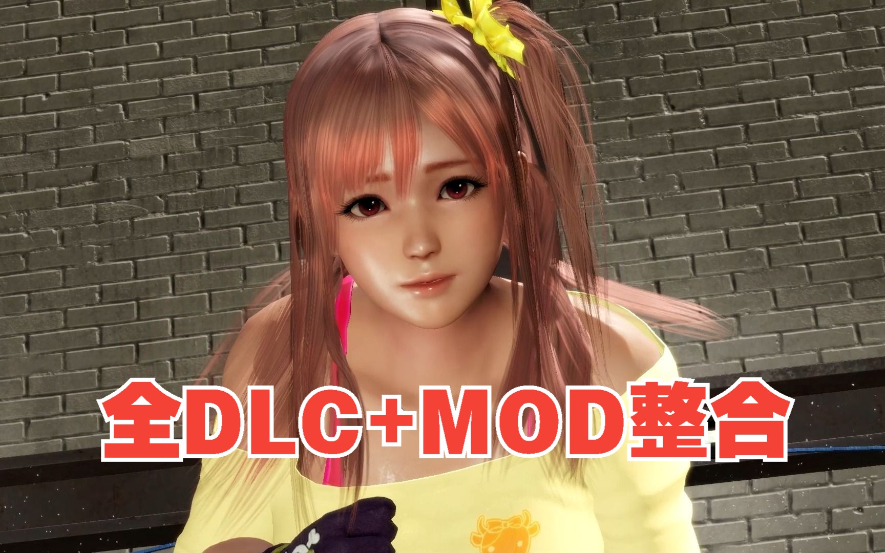 [图]【HS2/死或生6/沙滩排球3】全部DLC+MOD终极整合（PC+掌机）