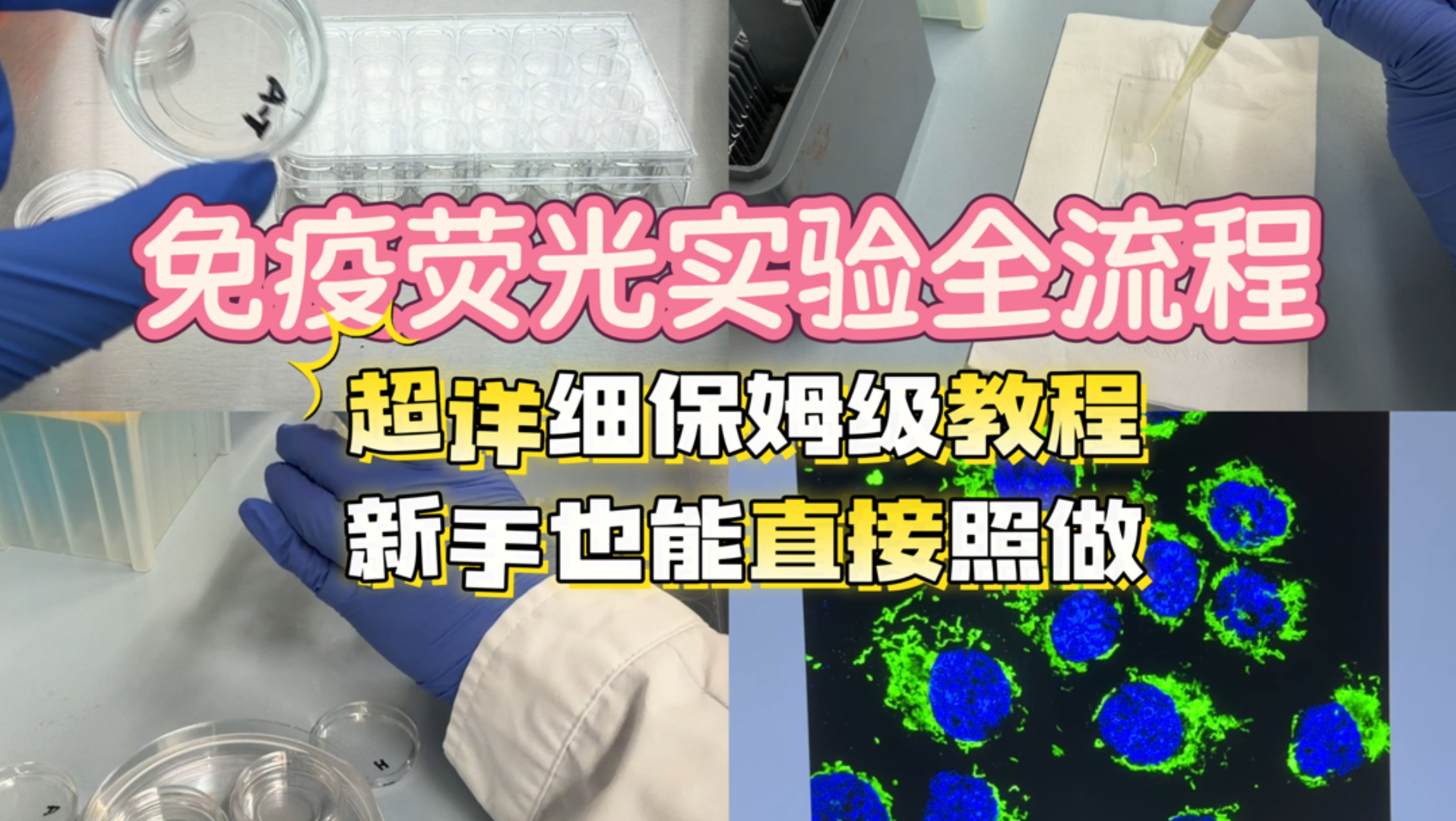 Step-by-Step Immunofluorescence Practical Tutorial