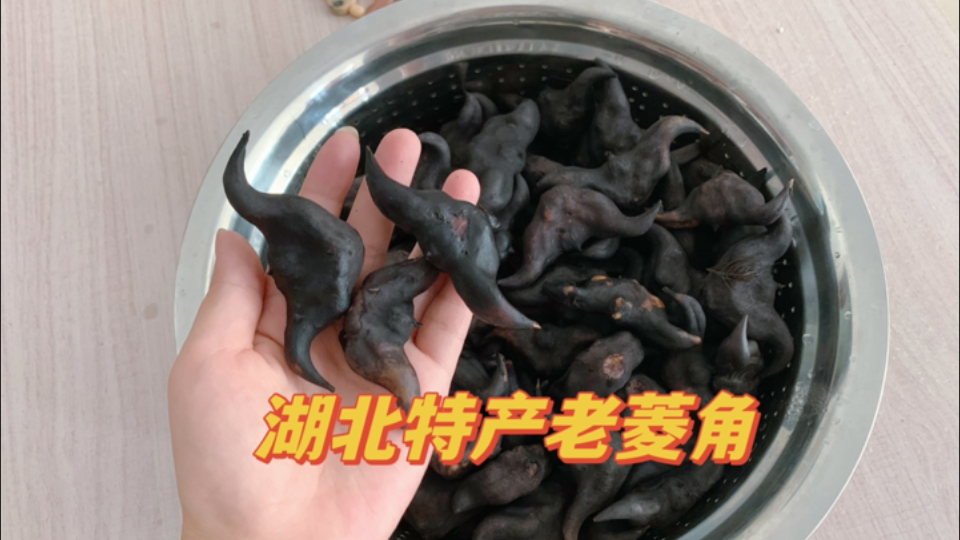 湖北特产老菱角