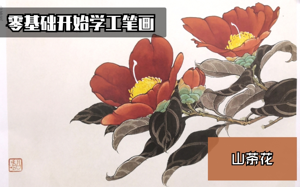 [图]【零基础开始学工笔画】——山茶花示范（从勾线到染色）《荣宝斋画谱》