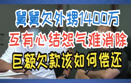 舅舅欠外甥1400万 互有心结怨气难消除 巨额欠款该如何偿还哔哩哔哩bilibili