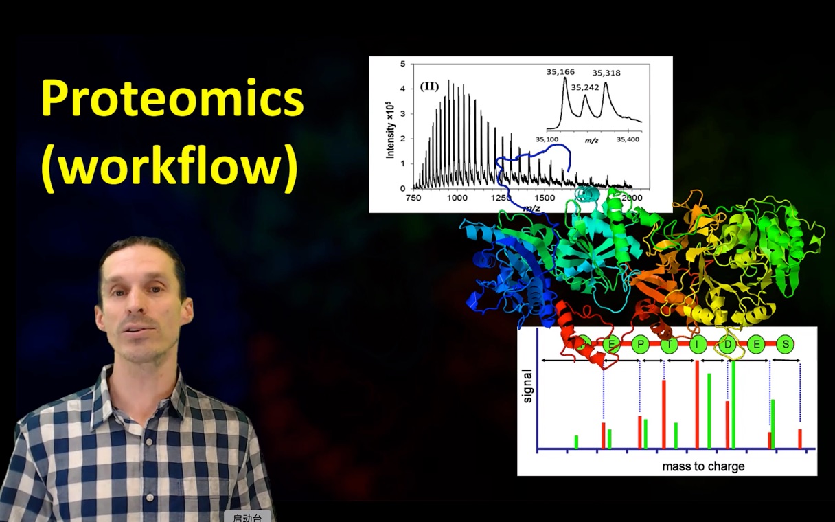 Proteome analysis workflows蛋白质组分析流程哔哩哔哩bilibili