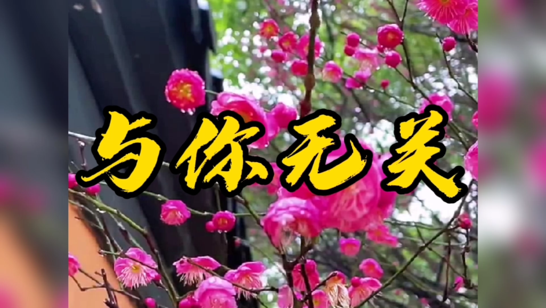 歌曲:《与你无关》