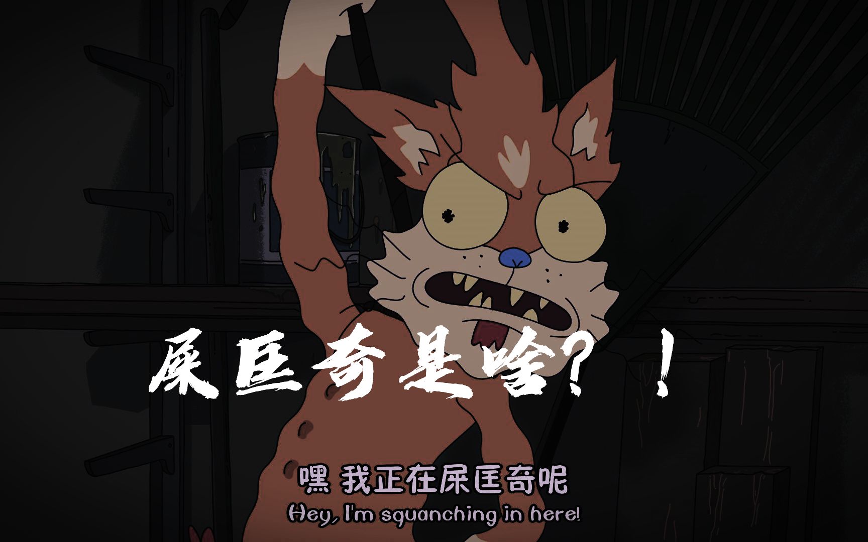 【瑞克和莫蒂】屎匡奇(squanch)到底是什么意思?哔哩哔哩bilibili