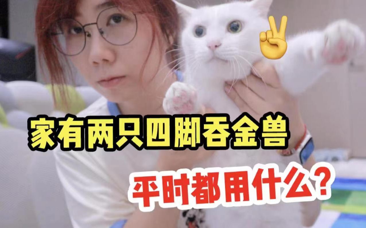 [图]【铲屎官日常】养猫十年，平时都用些什么呢~