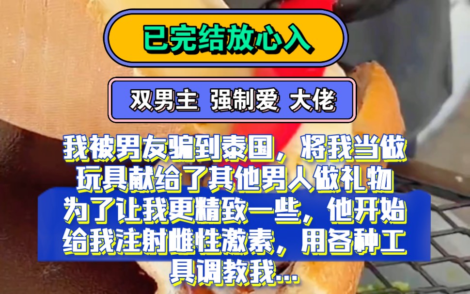 双男主 强制爱 大佬 | 男朋友把我骗到泰国,把我当礼物献给了一个男人...哔哩哔哩bilibili