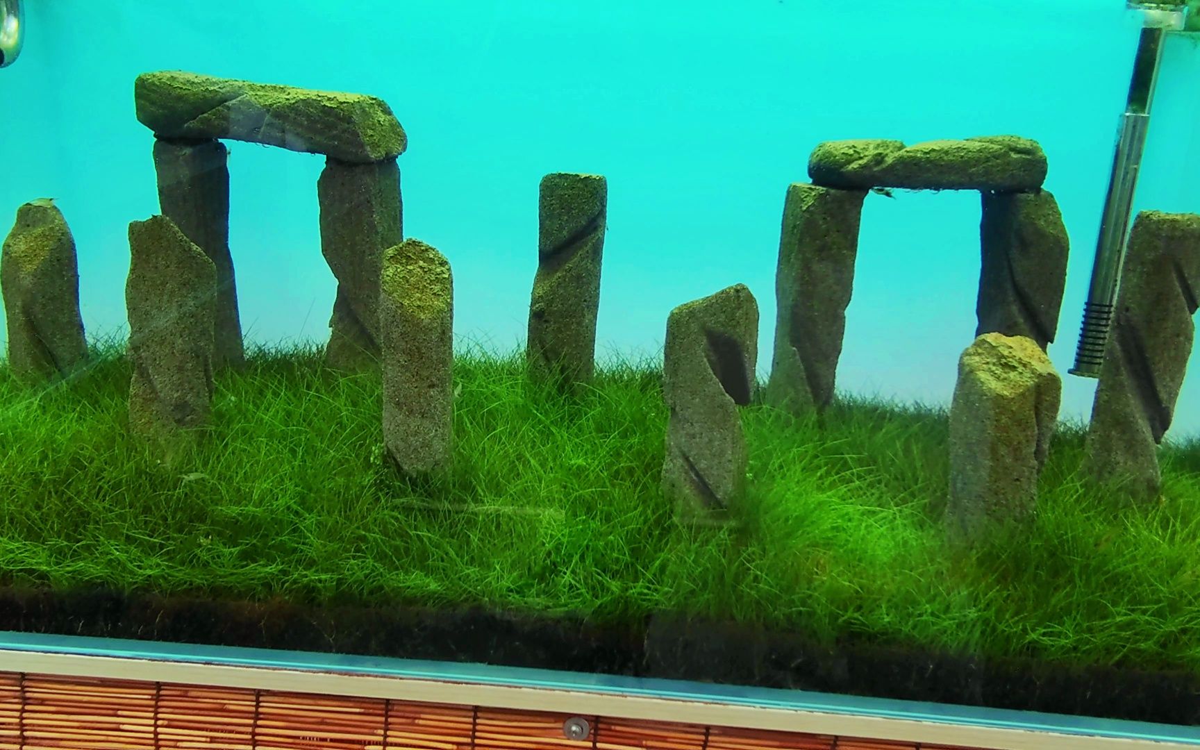 草缸造景系列之巨石阵造景