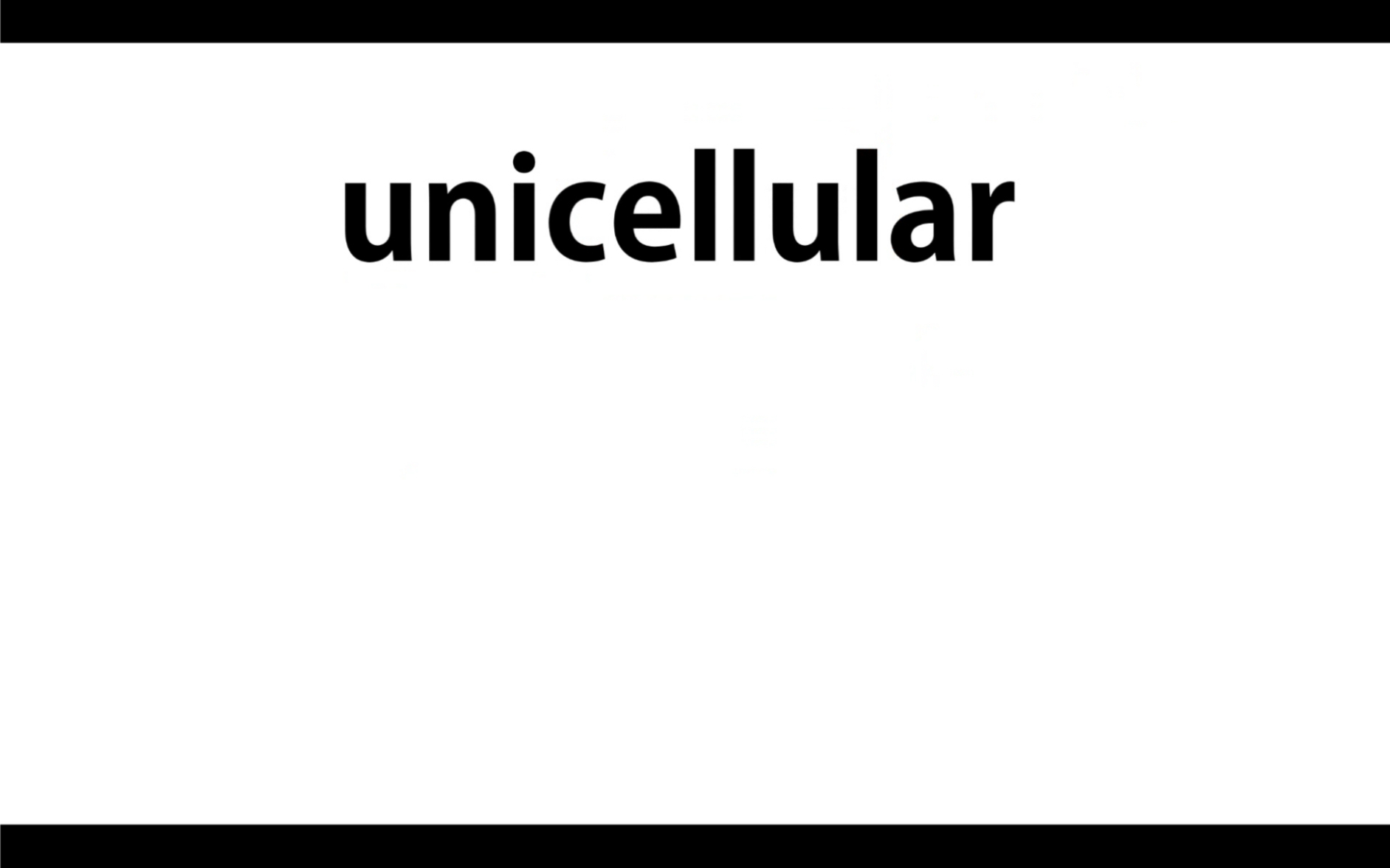 一起背单词,“一”的词根(2)uni:universe,unite,unique,uniform,unicorn,unilateral,unicellular哔哩哔哩bilibili