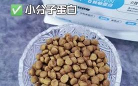 有鱼猫粮新品——轻舒粮 专为城市养宠人定制哔哩哔哩bilibili