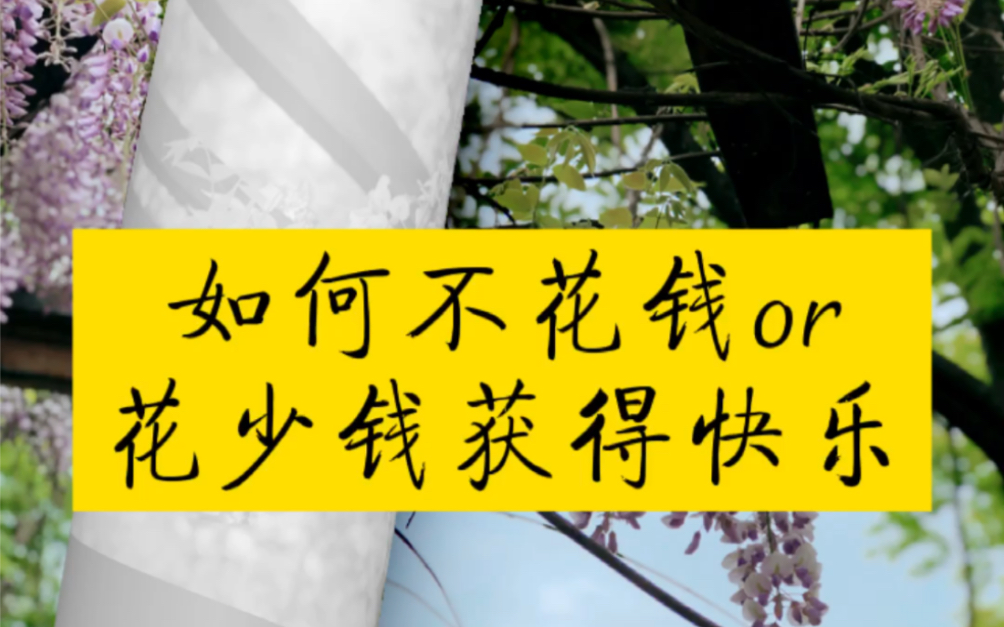 vlog|如何不花钱or 花少钱获得快乐