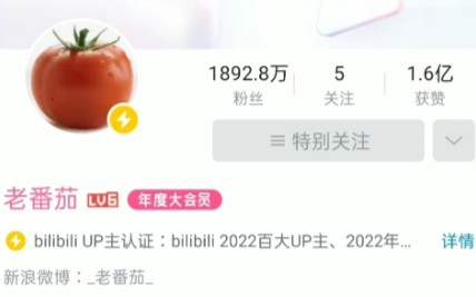 老番茄真的关注了哔哩哔哩bilibili