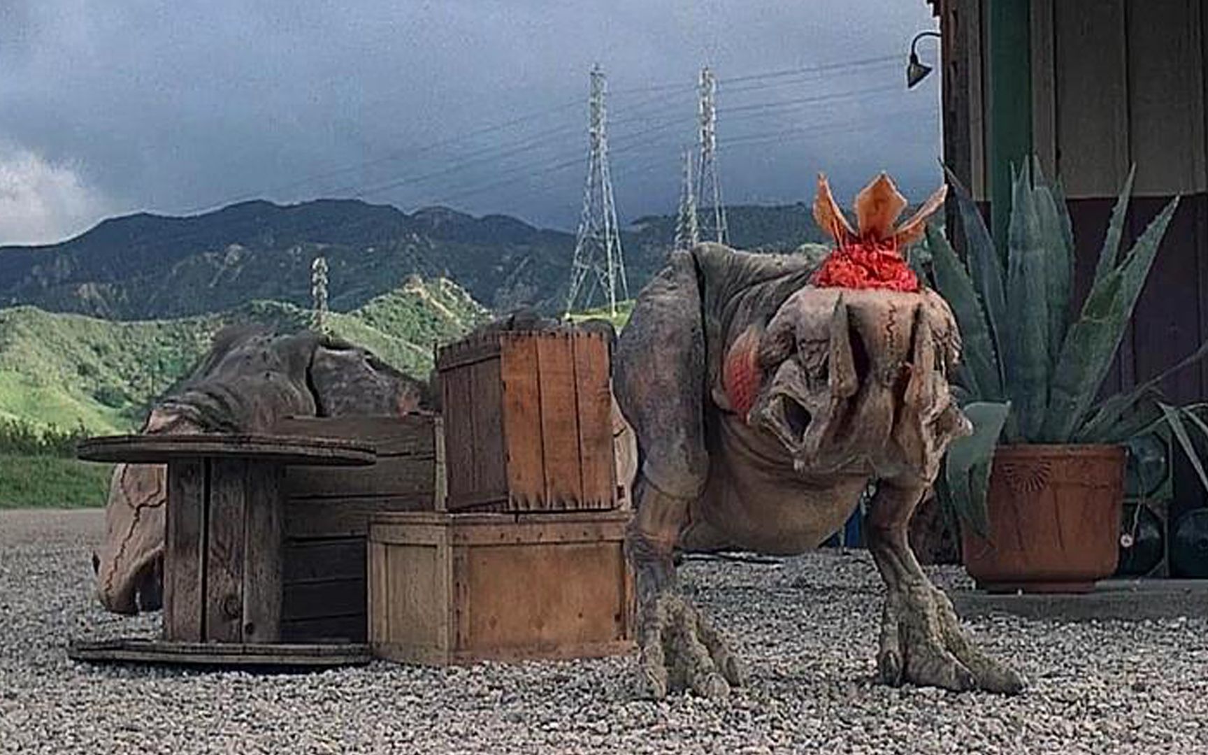 巨兽发生变异,雌雄同体靠热感知事物,吃东西就能无限繁殖