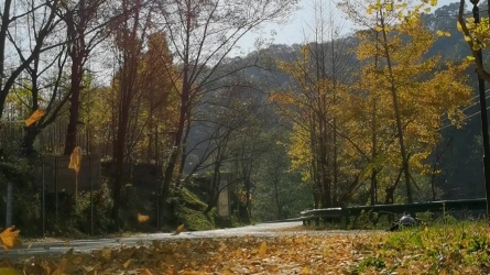 [图]摩旅大洪山～路边的风景！