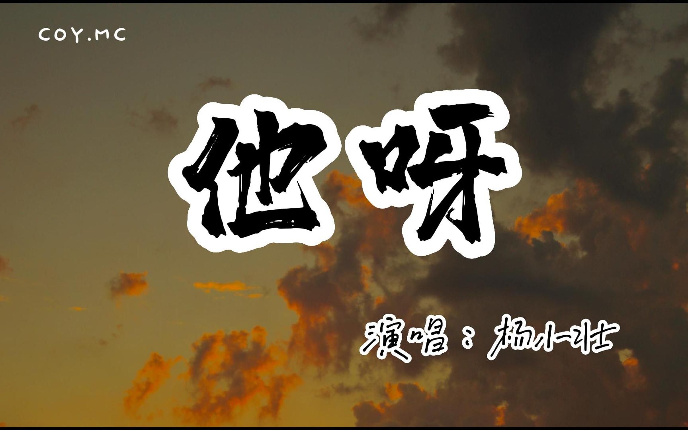 [图]杨小壮 － 他呀『他多想有人陪 多想为谁掉眼泪』（动态歌词/Lyrics Video/无损音质/4k）