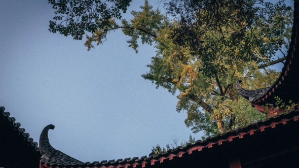 青灯古刹,慰藉余生
