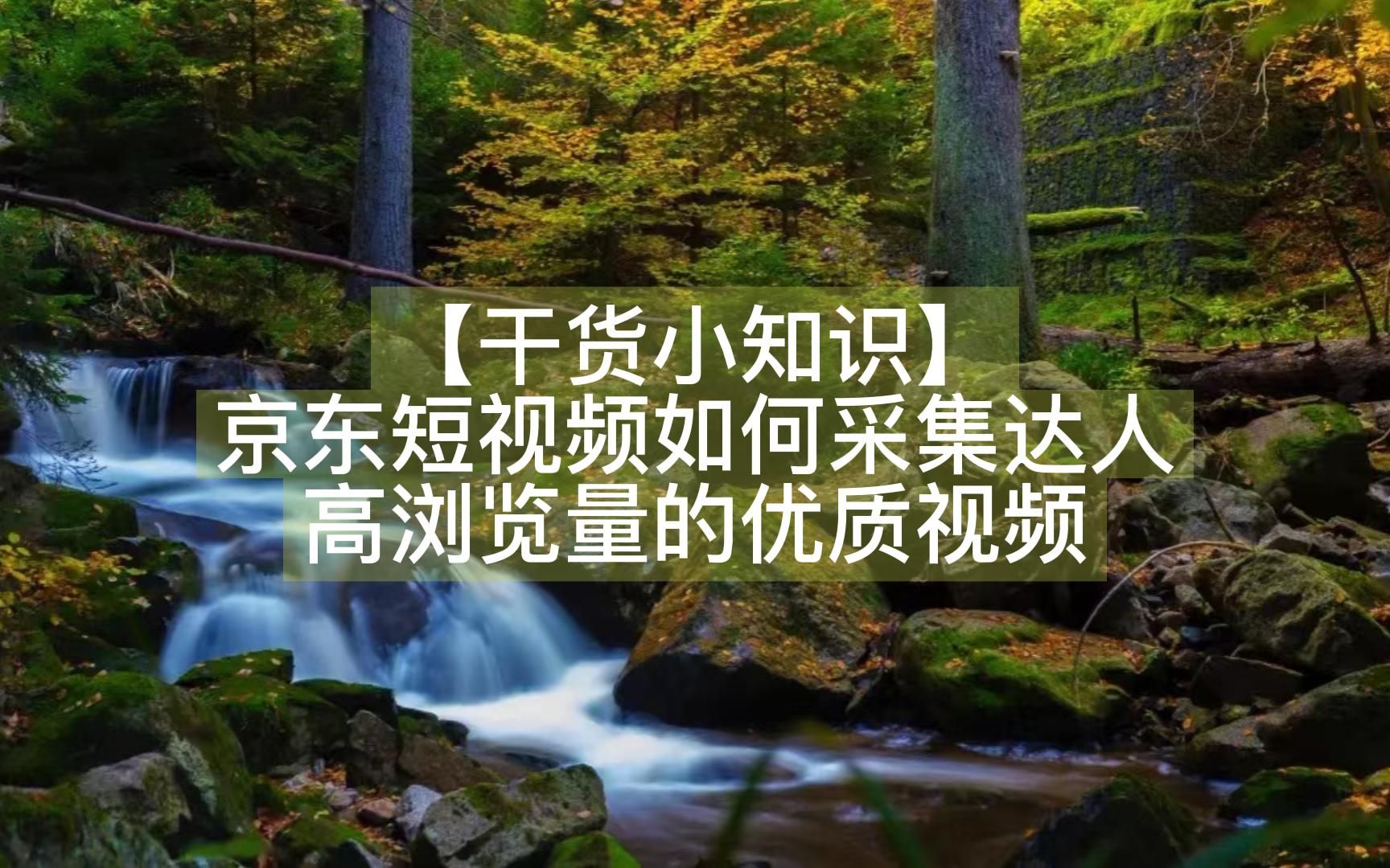 【干货小知识】京东短视频如何采集达人高浏览量的优质视频哔哩哔哩bilibili