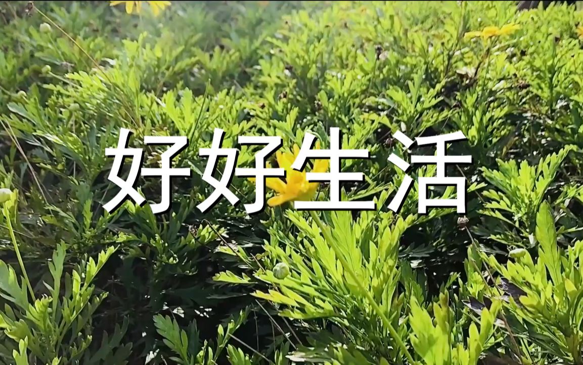 好好生活3