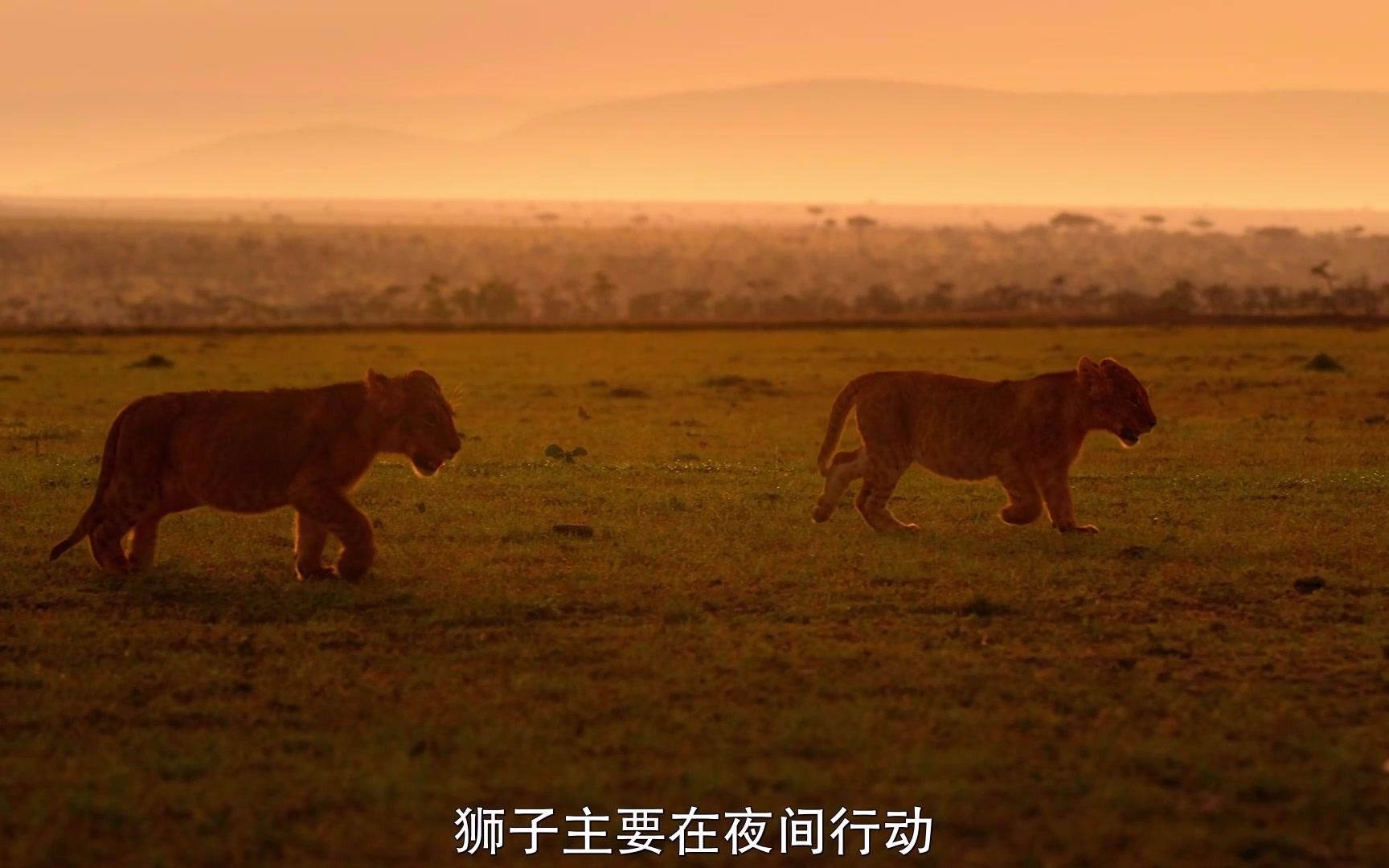 [图]夜色中的地球 Earth at Night in Color (2020) 中文字幕【远鉴字幕组压制分享】