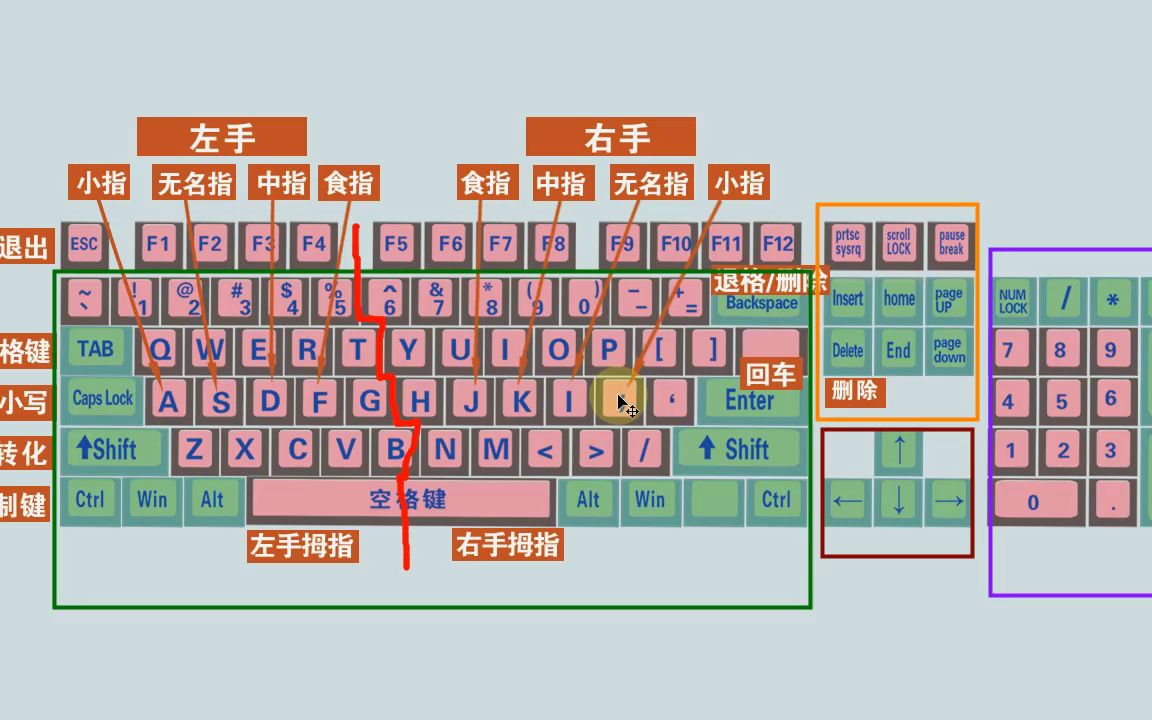 键盘打字正确指法图图片