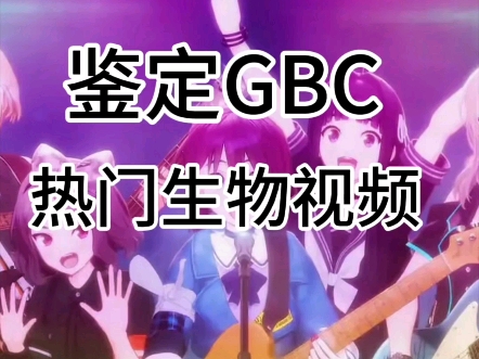 [GBC]网络热门GBC生物鉴定哔哩哔哩bilibili