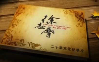 【央视纪录片】徐志摩(20集全)哔哩哔哩bilibili