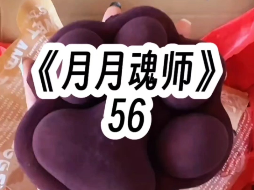 《月月魂师》56——七mao哔哩哔哩bilibili