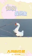 Descargar video: 大鹅的梦想：变成天鹅