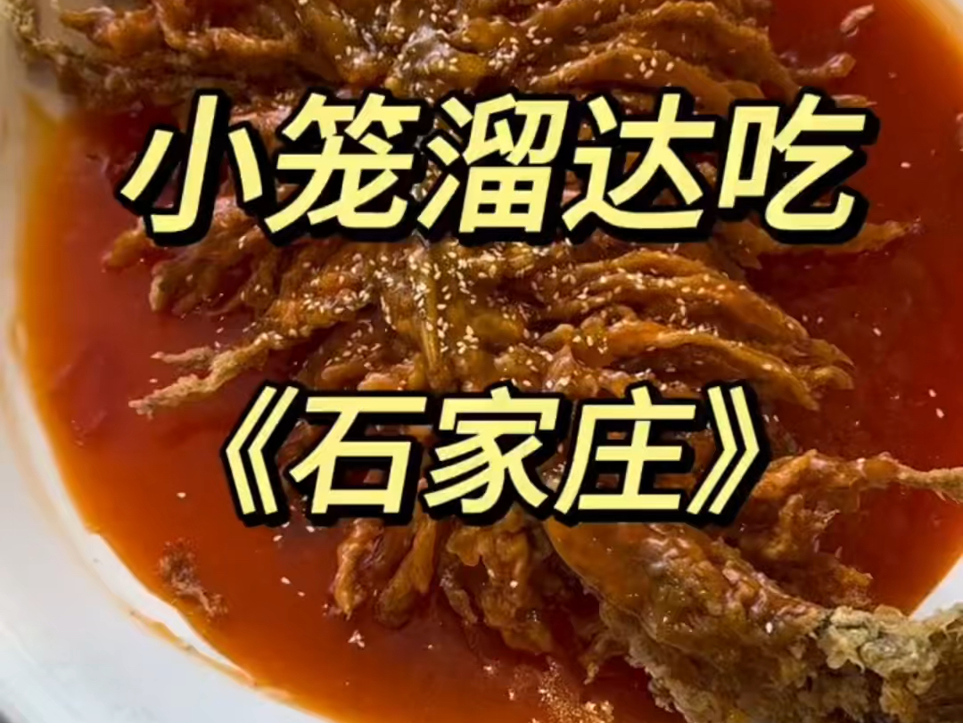 谁说石家庄无美食!我胖了六斤… #石家庄美食 #美食vlog #摩登东方茶 #沪上阿姨石家庄 #沪上阿姨品牌升级哔哩哔哩bilibili