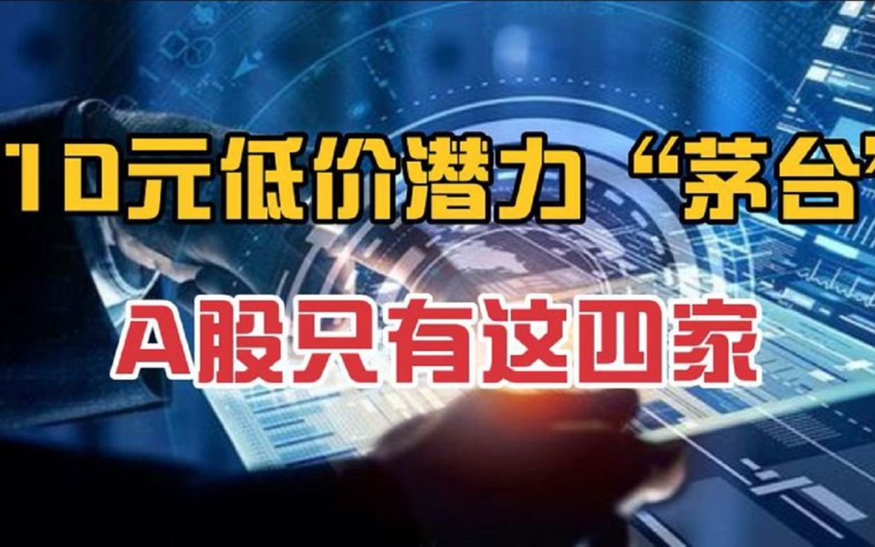 10元以下的潜力“茅台”,数倍增长预期的低价龙头,A股只有四家哔哩哔哩bilibili