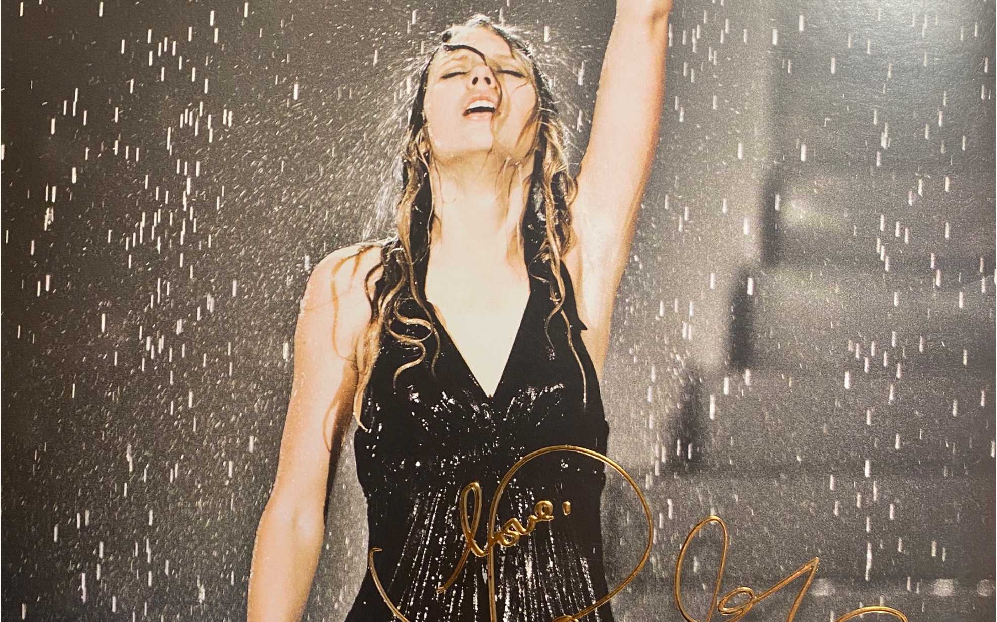 【taylor swift】fearless 巡演场刊