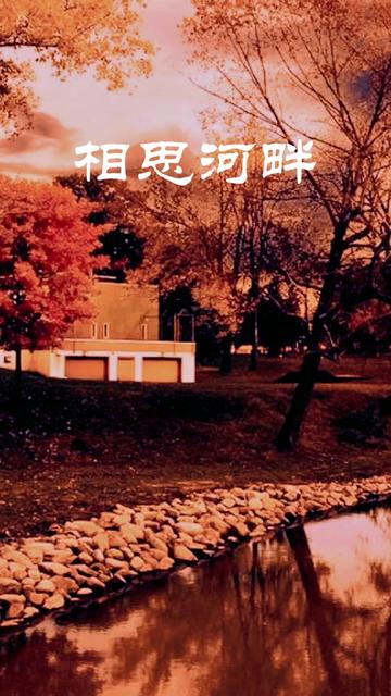 自从相思河畔别了你