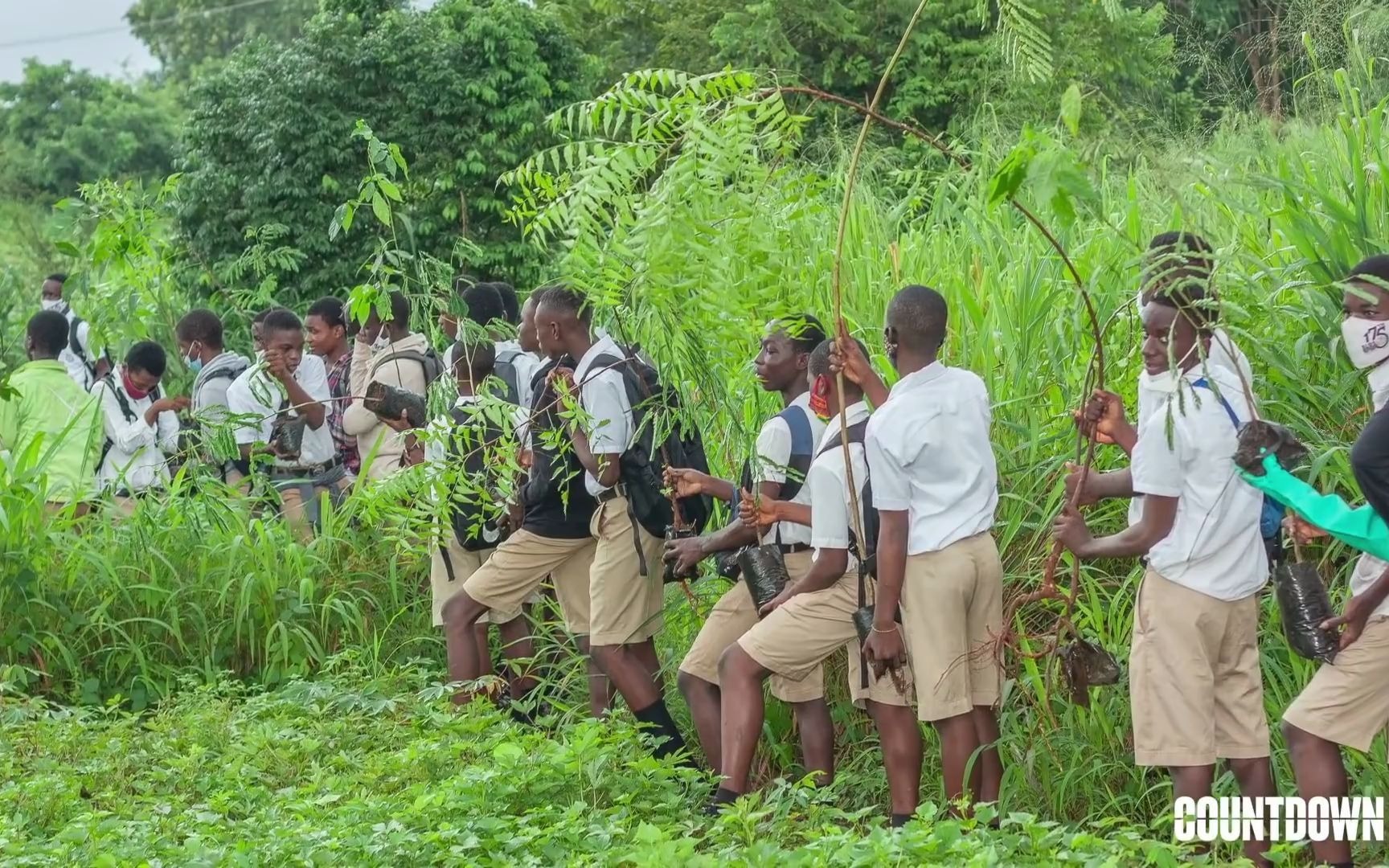 [图]The city planting a million trees in two years - Yvonne Aki-Sawyerr