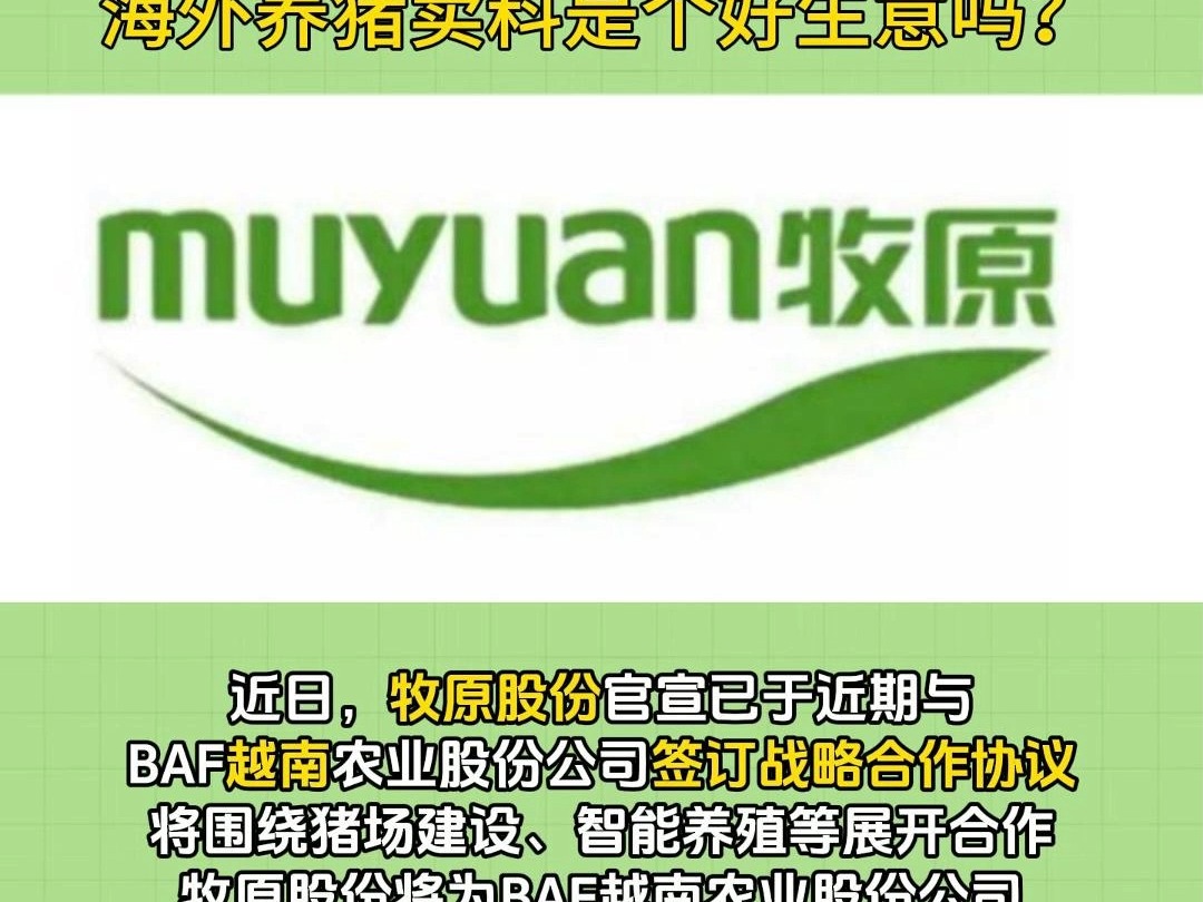 牧原官宣与越南企业合作,头部企业纷纷加码角逐海外市场,海外养猪卖料是个好生意吗?哔哩哔哩bilibili