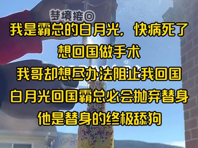 [图]我是霸总的白月光，快病死了，想回国做手术，我哥却想尽办法阻止我回国，白月光回国霸总必会抛弃替身，他是替身的终极舔狗