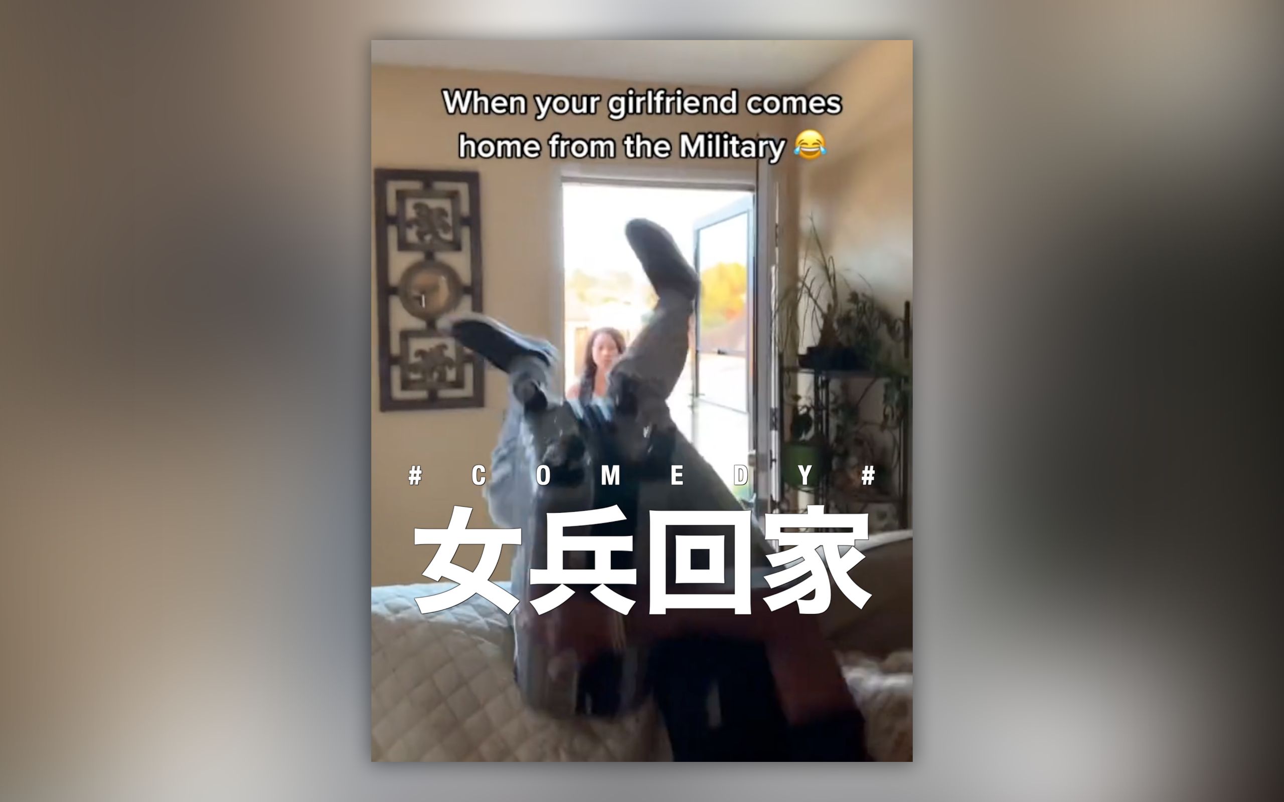 [图]女兵回家