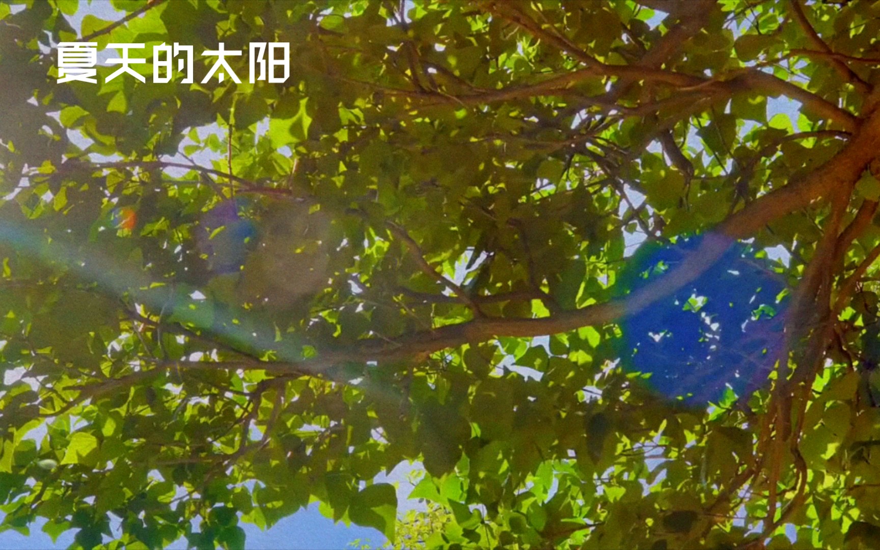 [图]【海子的诗】夏天的太阳