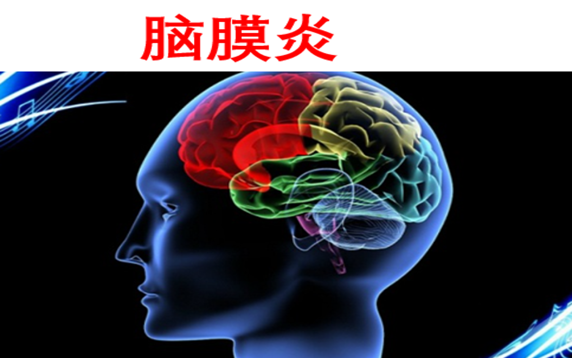 【医学科普】 脑膜炎 脑膜炎刺激征 神经内科 双语实用内科学课程系列哔哩哔哩bilibili