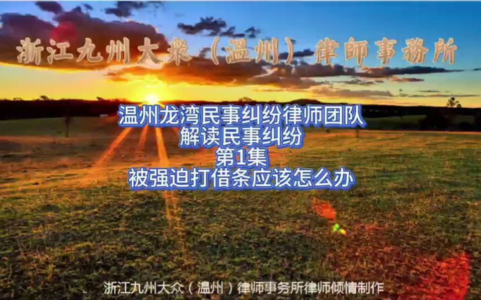 温州龙湾民事纠纷律师团队解读民事纠纷第1集被强迫打借条怎么办哔哩哔哩bilibili