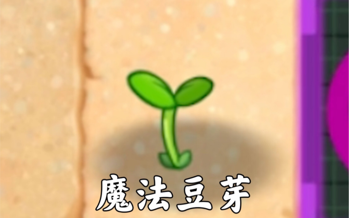 [国际版]这俩废稿植物有什么用?网络游戏热门视频