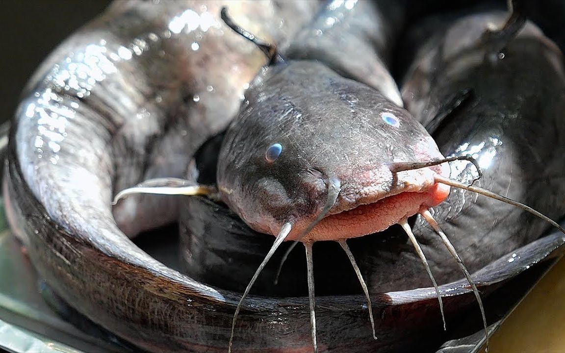 泰国美食 - 鲶鱼肉丸