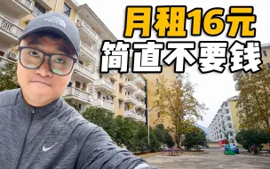 Download Video: 花16块租了套房，有水有电有网络，住上舍不得走想在这躺平