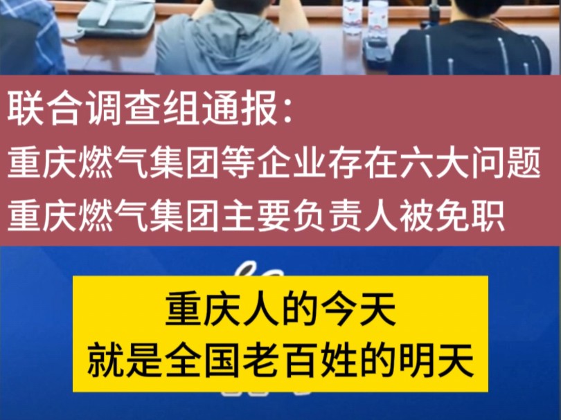 重庆燃气集团董事长车德臣被免职哔哩哔哩bilibili