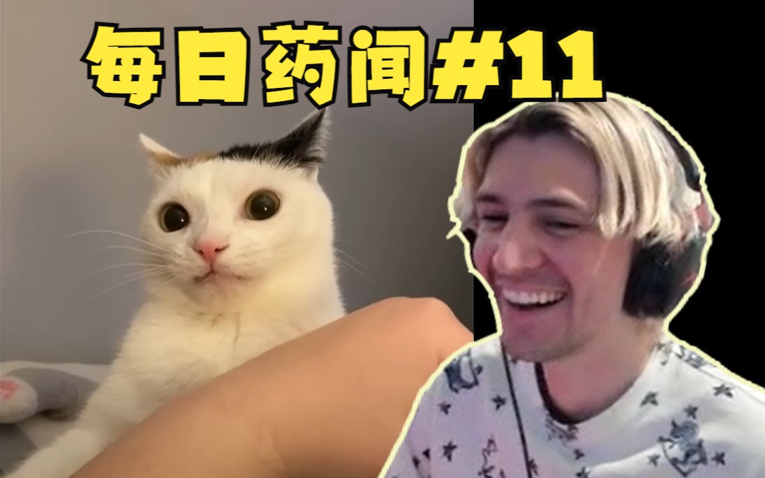 [图]【中字】xQc带你看每日药闻#11：这只猫面临着存在主义危机