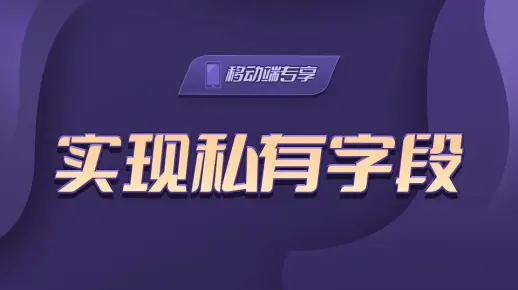 实现私有字段【渡一教育】
