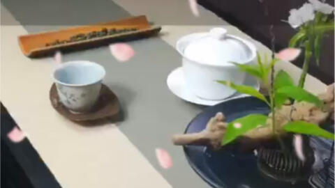 茶席花 你的茶席 还缺一碗花 茶道养性 花道养心 哔哩哔哩