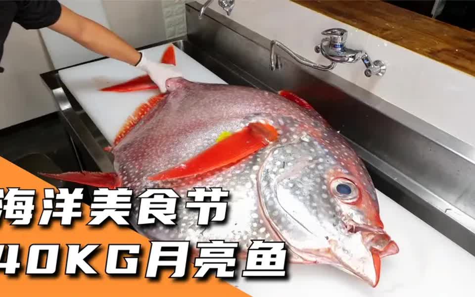 日本吃货小伙把非常罕见的40公斤月亮鱼做成了刺身看着都香