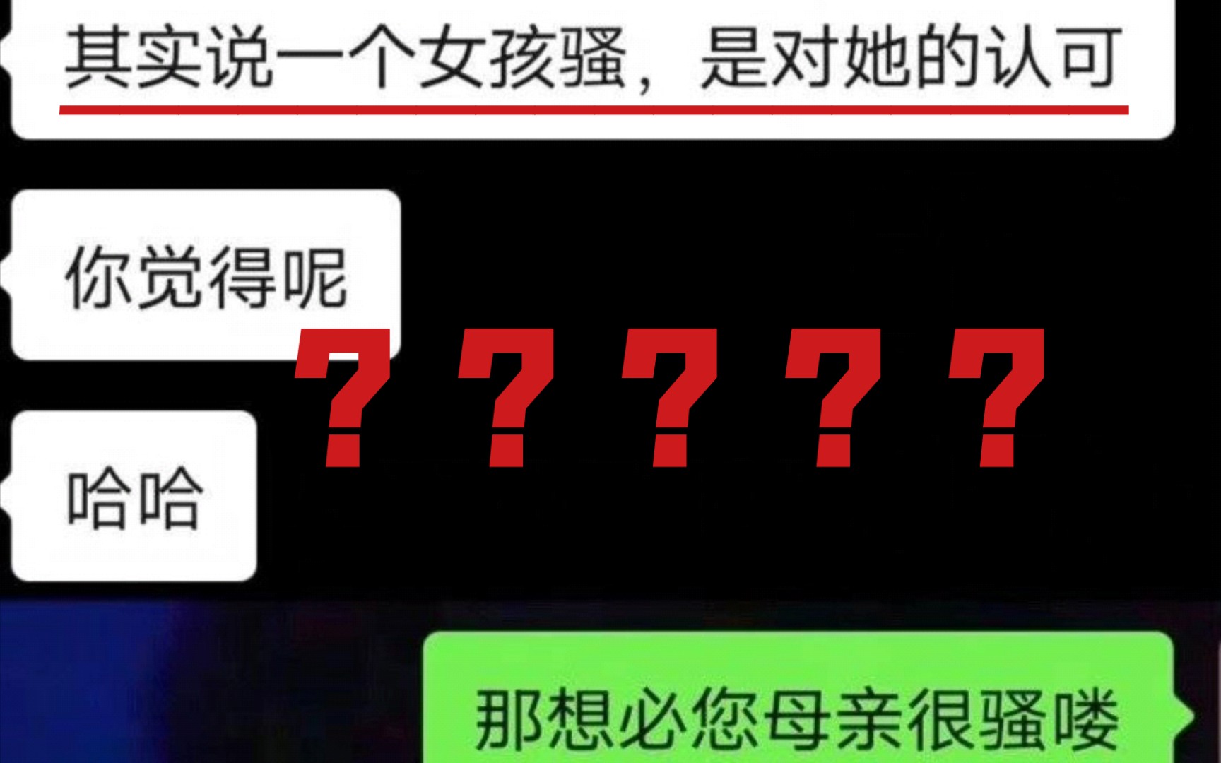 其实说一个女孩骚,是对她的认可?那想必你母亲……哔哩哔哩bilibili